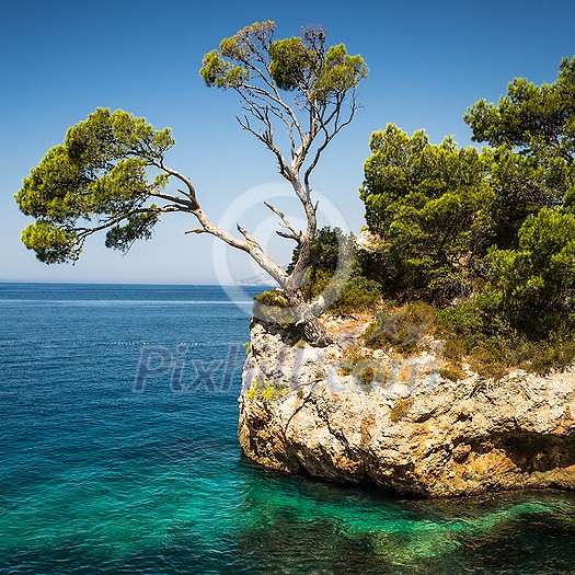 Splendid seacoast of Croatia (Makarska riviera, Brela) Splendid seacoast of Croatia (Makarska riviera, Brela)