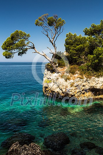 Splendid seacoast of Croatia (Makarska riviera, Brela) Splendid seacoast of Croatia (Makarska riviera, Brela)