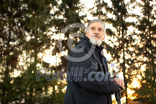 Senior man nordic walking, enjoying the outdoors, the fresh air, getting the necessary exercise Senior man nordic walking, enjoying the outdoors, the fresh air, getting the necessary exercise