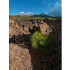 Masca valley, Tenerife, Spain - High  Repolution Panoramic Image