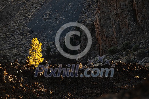 Colorful scenic landscape of moon rise in Tenerife national park of Teide. El Teide with moon rising by its side. Colorful scenic landscape of moon rise in Tenerife national park of Teide. El Teide with moon rising by its side.