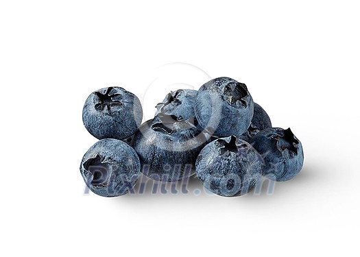 Close-up view of home grown freshly picked ripe organic natural blueberries isolated on a white background with soft shadows, copy space. Vegetarian concept.