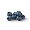 Close-up view of home grown freshly picked ripe organic natural blueberries isolated on a white background with soft shadows, copy space. Vegetarian concept.