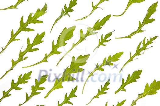 Horizontal vegetable pattern from home grown fresh natural organic arugula leaves against white background. Vegetarian healthy food concept. Horizontal vegetable pattern from home grown fresh natural organic arugula leaves against white background. Vegetarian healthy food concept.