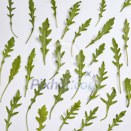 Green vegetable pattern from home grown natural organic fresh arugula leaves on a light grey background. Top view. Vegetarian healthy food concept. Green vegetable pattern from home grown natural organic fresh arugula leaves on a light grey background. Top view. Vegetarian healthy food concept.