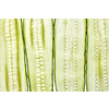 Creative natural background from cut slices of organic freshly picked cucumbers. Macro view. Vegetarian healthy food concept.