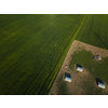 Pigs eating on a meadow in an organic meat farm - aerial image
