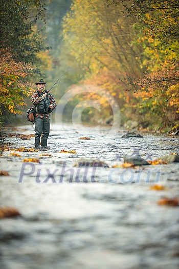 Fly fisherman fly fishing on a splendid mountain river Fly fisherman fly fishing on a splendid mountain river