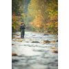 Fly fisherman fly fishing on a splendid mountain river
