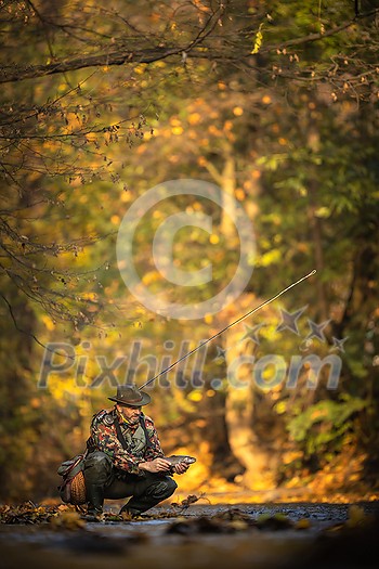 Close-up view of the hands of a fly fisherman holding a lovely trout while fly fishing on a splendid mountain river Close-up view of the hands of a fly fisherman holding a lovely trout while fly fishing on a splendid mountain river