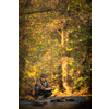 Close-up view of the hands of a fly fisherman holding a lovely trout while  fly fishing on a splendid mountain river