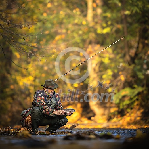 Close-up view of the hands of a fly fisherman holding a lovely trout while  fly fishing on a splendid mountain river