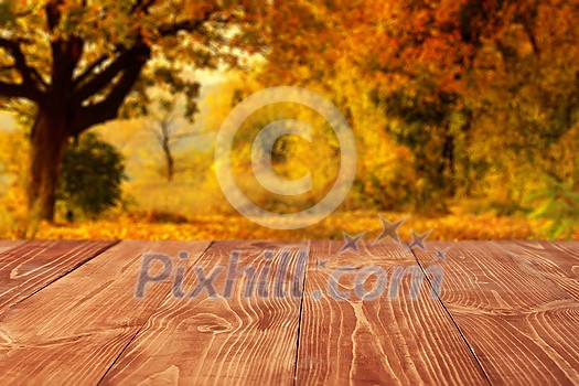 Empty perspective, wooden boards or desktop against blurred autumn forest landscape on background. Use as template and mockup for display or montage of your products, advertising. Close up, copy space Empty perspective, wooden boards or desktop against blurred autumn forest landscape on background. Use as template and mockup for display or montage of your products, advertising. Close up, copy space