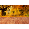 Empty perspective, wooden boards or desktop against blurred autumn forest landscape on background. Use as template and mockup for display or montage of your products, advertising. Close up, copy space