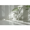 Fresh natural branches of evergreen tropical palm plant with decorative shadows on a light wall and glossy table surface. Game of shadows on a wall from window at the sunny day.