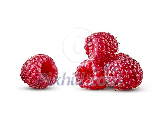 Close up homegrown freshly picked ripe natural organic raspberries isolated on a white background, copy space. Vegetarian healthy food concept.