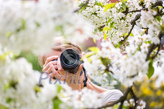 Pretty, female photographer outdoors on a lovely spring day, taking pictures of a blossoming tree
