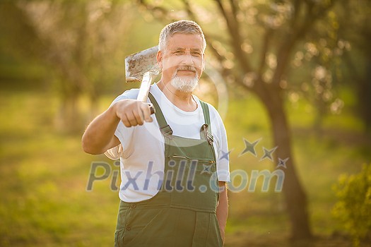 Portrait of a handsome senior man gardening in his garden, on a lovely spring day (color toned image) Portrait of a handsome senior man gardening in his garden, on a lovely spring day (color toned image)