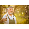 Portrait of a handsome senior man gardening in his garden, on a lovely spring day (color toned image)