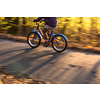 Little boy going fast on his little bike on a forest path in warm evening light