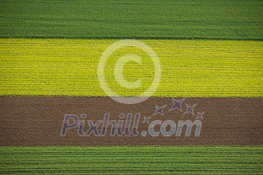 Spring in Nature - sunrise field grain landscape of different colored fields Spring in Nature - sunrise field grain landscape of different colored fields