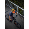 Cross country mtb biker going for his favorite hills beyond the city limits (top view; shallow DOF)