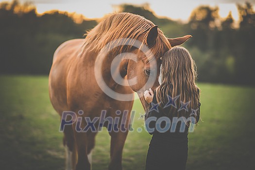Cute little girl with her horse on a lovely meadow lit by warm evening light Cute little girl with her horse on a lovely meadow lit by warm evening light