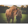 Cute little girl with her horse on a lovely meadow lit by warm evening light