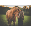 Cute little girl with her horse on a lovely meadow lit by warm evening light