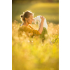 Pretty, young woman with her cat pet sitting in grass on lovely meadow lit by warm evening light (shallow DOF; color toned image)