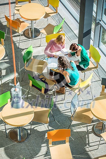 Group of university students studying hard for an exam in a lovely bright sunlit studying room/library Group of university students studying hard for an exam in a lovely bright sunlit studying room/library
