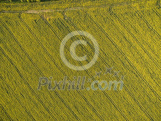 Farmland from above - aerial image of a lush green filed