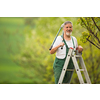 Senior man gardening in his garden (color toned image), taking good care of his fruit trees from a ladder