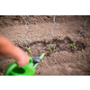 Senior man gardening in his garden (color toned image), watering plants