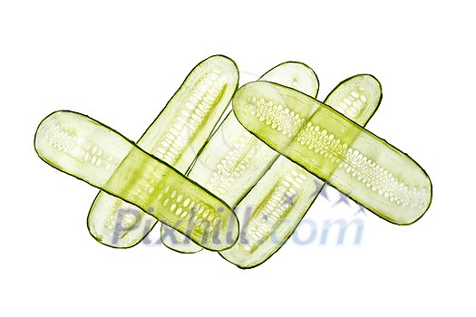 Vegetable pattern from fresh natural organic cucumber slices crossed on a white background, copy space. Top view. Vegetable pattern from fresh natural organic cucumber slices crossed on a white background, copy space. Top view.