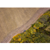 Top aerial panoramic view from a drone above dirt road across the agricultural field and moving car and forest area in an autumn season.