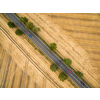 Aerial view of a country road amid fields with cars on it