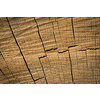 Wood texture background surface. Natural wood texture. Timber background of wood texture.