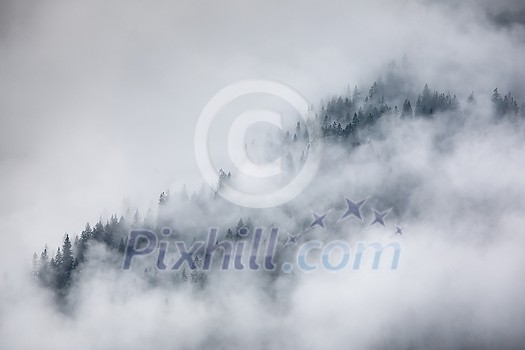 Pine forest covered in fog on a cold autumn morning, Dark tone image. Foggy mountain landscape with misty forest Pine forest covered in fog on a cold autumn morning, Dark tone image. Foggy mountain landscape with misty forest