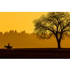 Silhouette of a  young man riding a horse outdoors on a lovely sunny evening