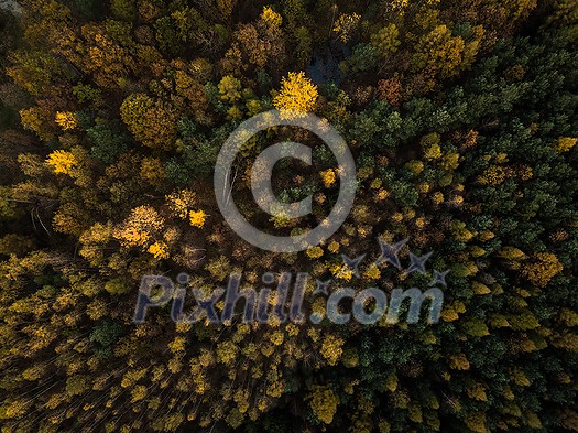 Splendid autumn/fall captured in a landscape image - vivid colors disappearing slowly and making room for the greyish aspect of winter Splendid autumn/fall captured in a landscape image - vivid colors disappearing slowly and making room for the greyish aspect of winter