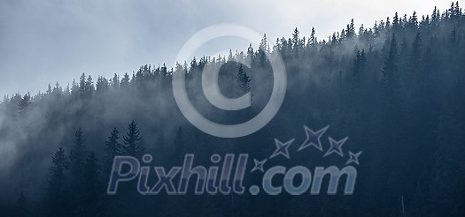 Magical forest with morning sun piercing through fog - dreamy, misty landscape photo Magical forest with morning sun piercing through fog - dreamy, misty landscape photo
