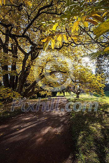 Splendid autumn/fall captured in a landscape image - vivid colors disappearing slowly and making room for the greyish aspect of winter