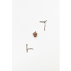 Autumnal composition with one acorn and twigs isolated on white, flatlay