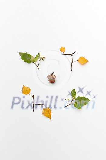 Flatlay of frame with acorn, twigs and colored leaves isolated on white, autumnal flatlay Flatlay of frame with acorn, twigs and colored leaves isolated on white, autumnal flatlay