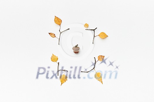 Autumnal composition with acorn, twigs and yellow leaves isolated on white, flatlay Autumnal composition with acorn, twigs and yellow leaves isolated on white, flatlay