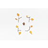 Autumnal composition with acorn, twigs and yellow leaves isolated on white, flatlay
