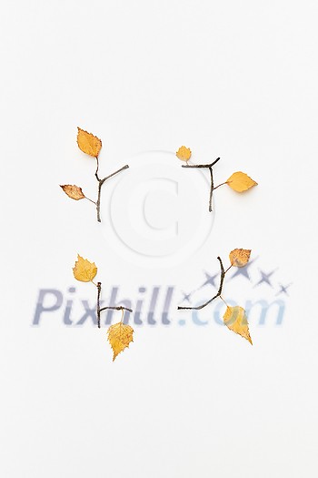 Autumnal composition with twigs and yellow leaves isolated on white, flatlay Autumnal composition with twigs and yellow leaves isolated on white, flatlay