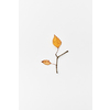 Autumnal composition with twigs and yellow leaves in shape of branch isolated on white, flatlay