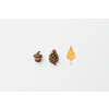 Cone, acorn and dried yellow autumnal leaf isolated on white, flatlay